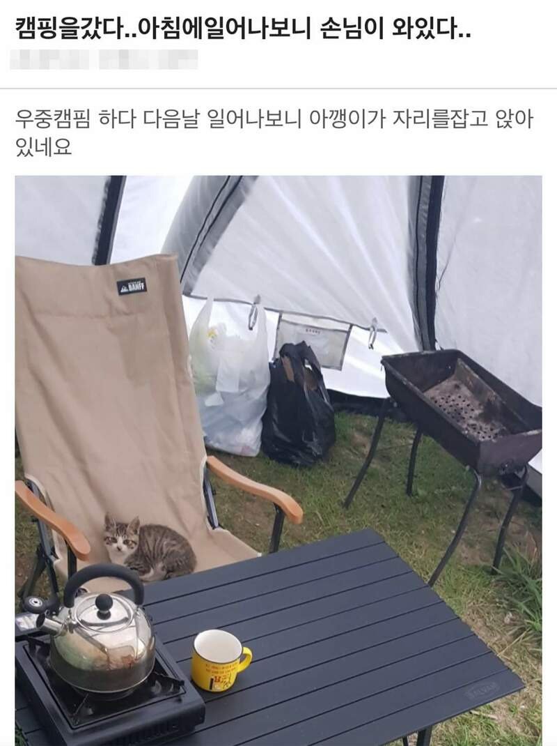 캠핑 중 찾아온 손님