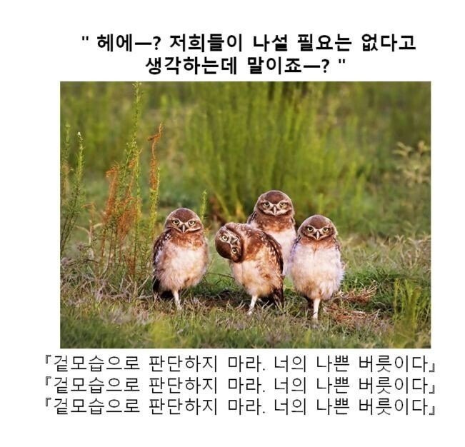 스압) 동물 클리셰짤 모음.jpg