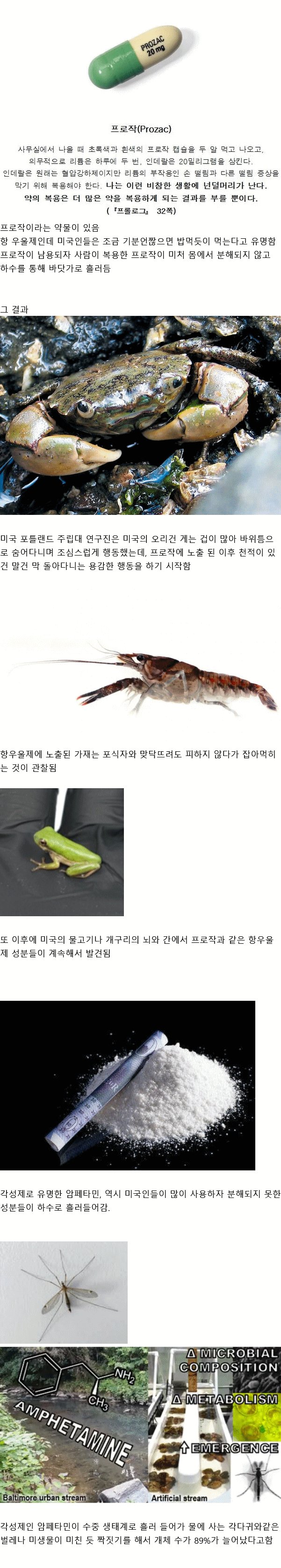 약물로 인해 바뀐 미국 생태계