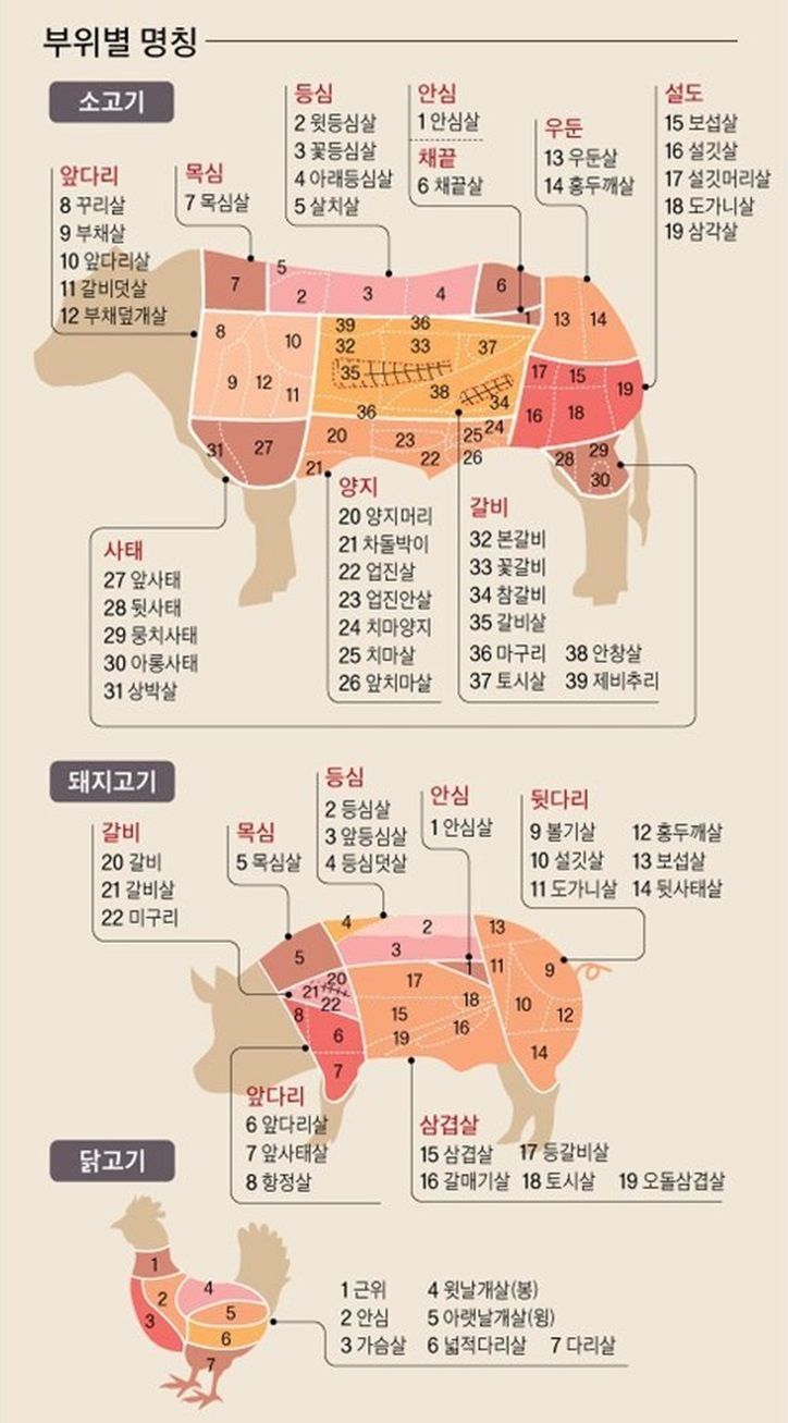 고기 부위별 명칭