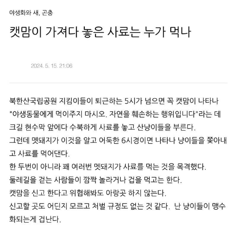 깊은 산 속 캣맘사료 누가와서 먹나요