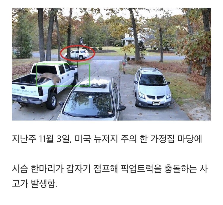 미국 중고차 직거래 대참사...