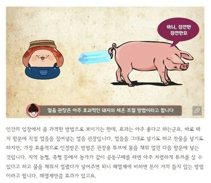 여름 시원하게 보내는 방법.jpg