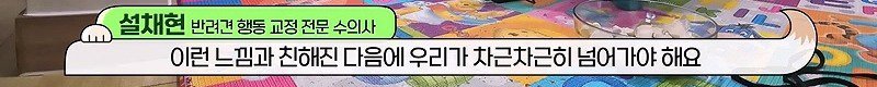 구조한지 1년 3개월이 되었지만 못만지게해서 발톱 부러지고 목욕은 꿈도 못꾼 개