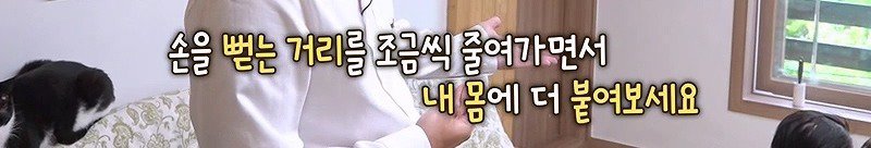 구조한지 1년 3개월이 되었지만 못만지게해서 발톱 부러지고 목욕은 꿈도 못꾼 개