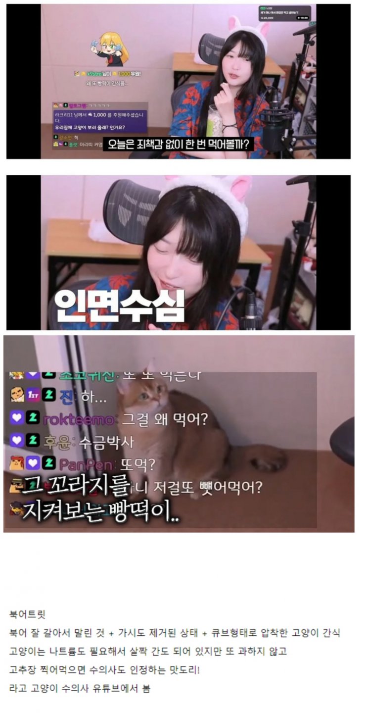 인간이길 포기한 이유