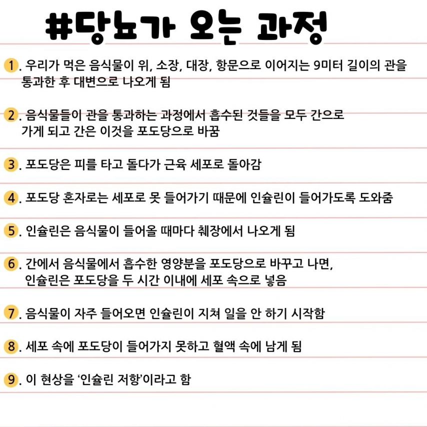 당뇨가 오는 충격적인 과정