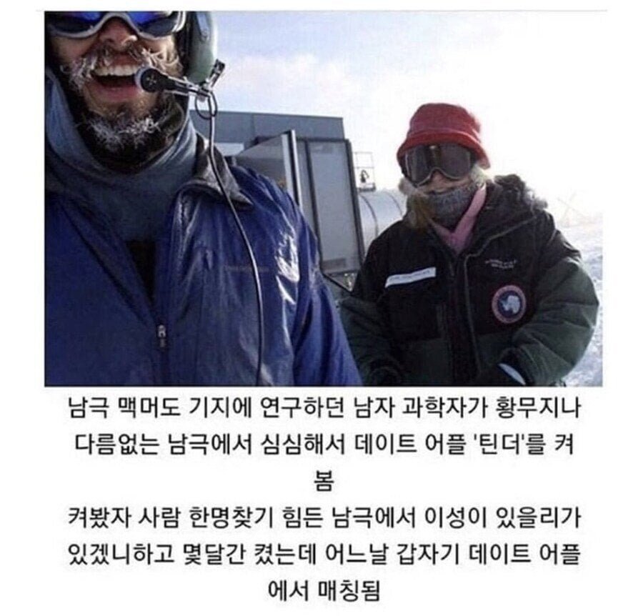 남극에서 데이트앱을 켰더니....