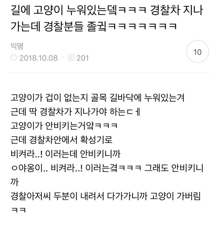 길에 고양이 