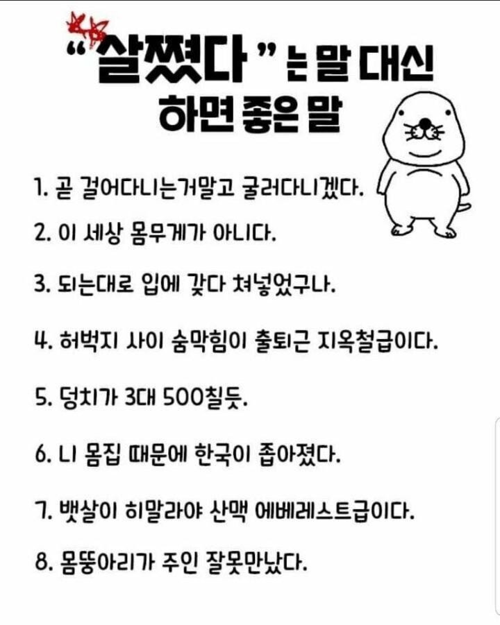 살쪘다는 말 대신하면 좋은 말