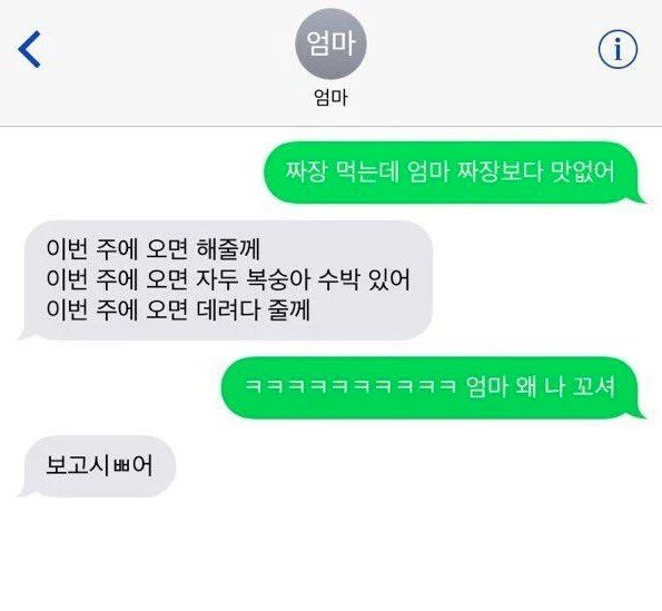 보고시ㅃ어