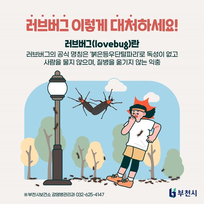 요즘 길거리에서 자주 보이는 