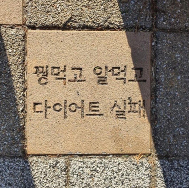 감탄고탄