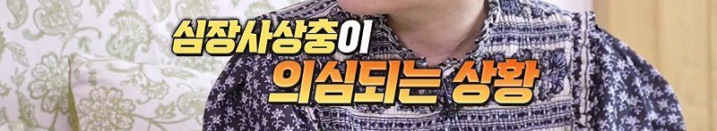 구조한지 1년 3개월이 되었지만 못만지게해서 발톱 부러지고 목욕은 꿈도 못꾼 개