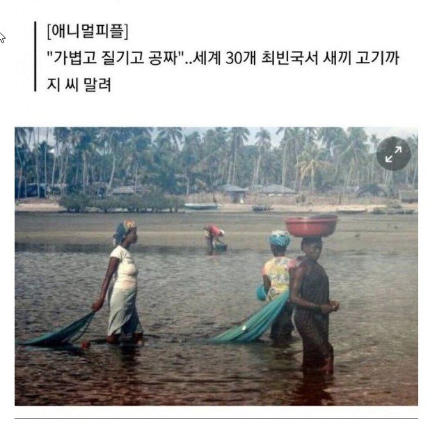 말라리아 때문에 아프리카에 모기장을 공급했다 