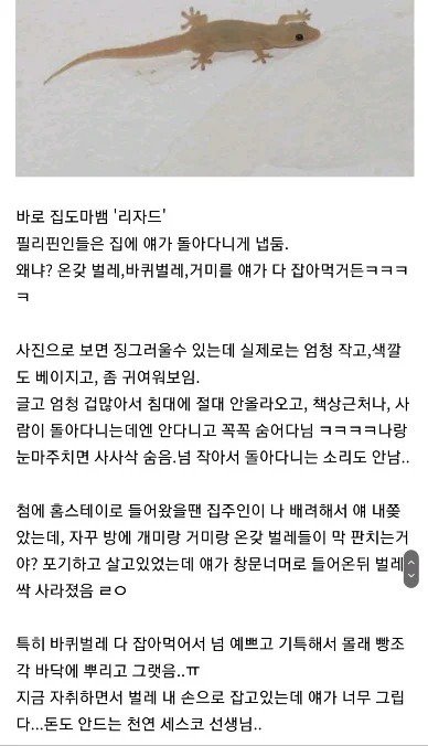 필리핀 살다오면 그리워지는것