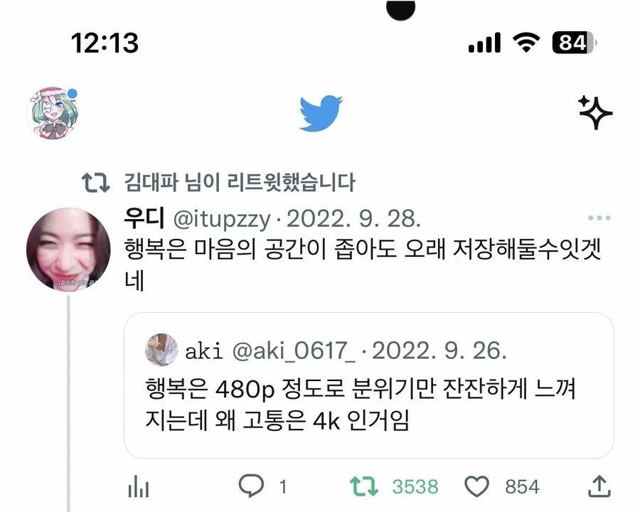 왜 행복은 480p인데 고통은 4k인 거임?