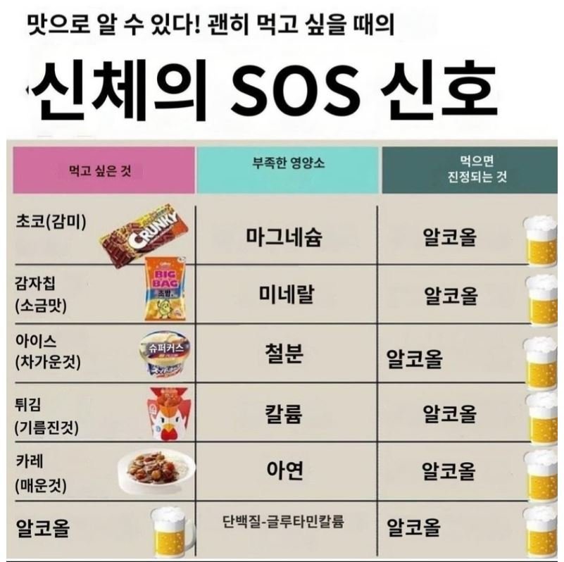 그냥  이런저런  자료....