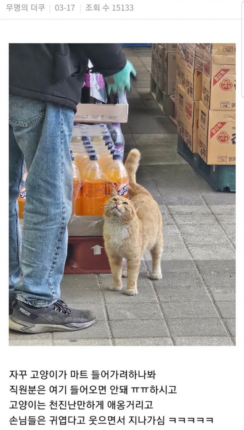 매장 입장을 거절당한 손님.jpg