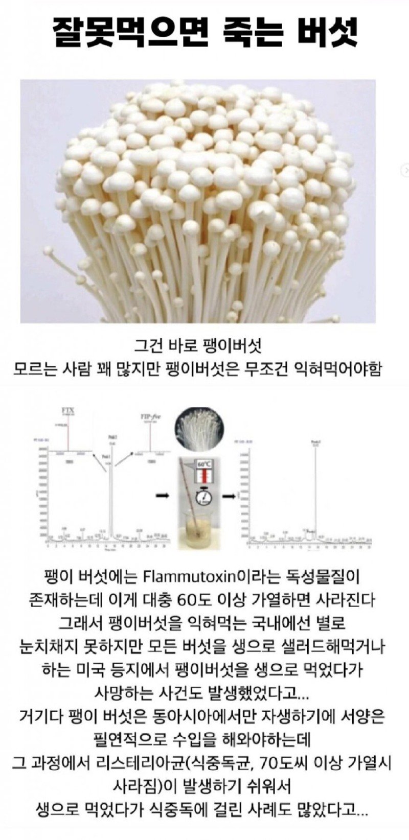 의외로 생으로 먹으면 위험한 음식.jpg