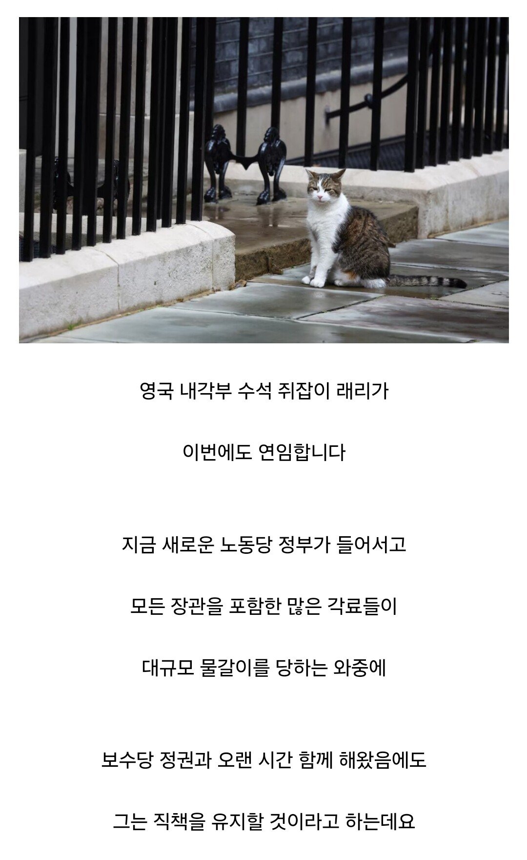 영국 수석 수렵보좌관 연임 성공, 그러나...