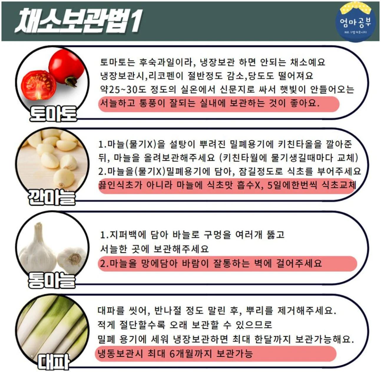 금방 상하는 채소 20종 보관법