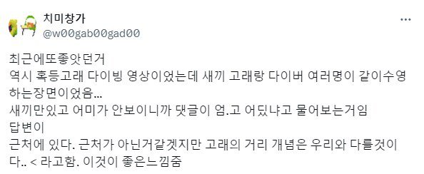 인간과 다른 고래의 거리감각