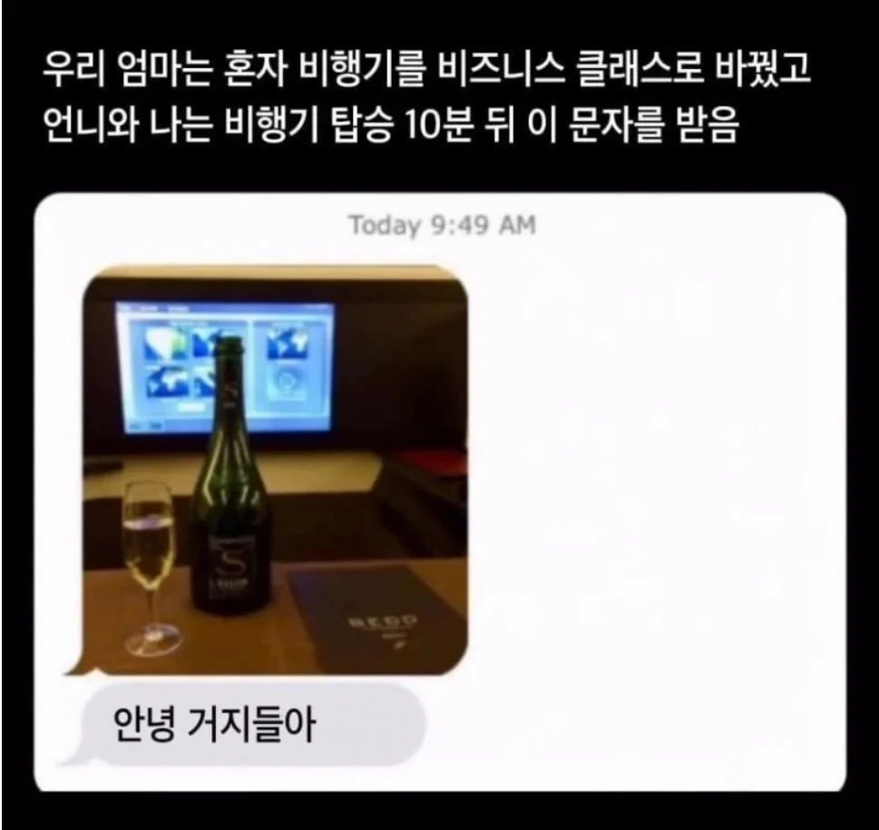 엄마 혼자 비행기 좌석 바꾸고 보낸 문자메시지