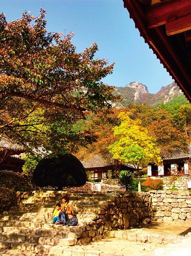 한국의 흔한 절 