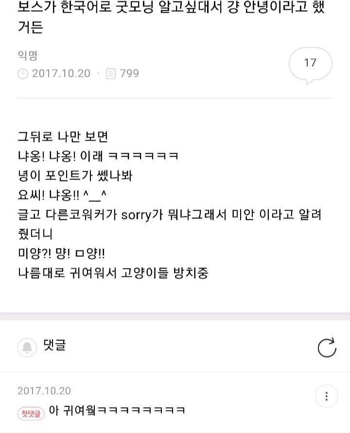 보스가 한국어로 굿모닝