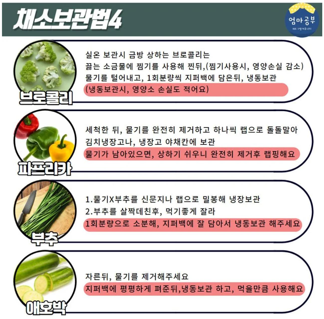 금방 상하는 채소 20종 보관법