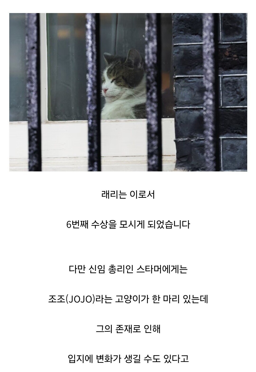 영국 수석 수렵보좌관 연임 성공, 그러나...