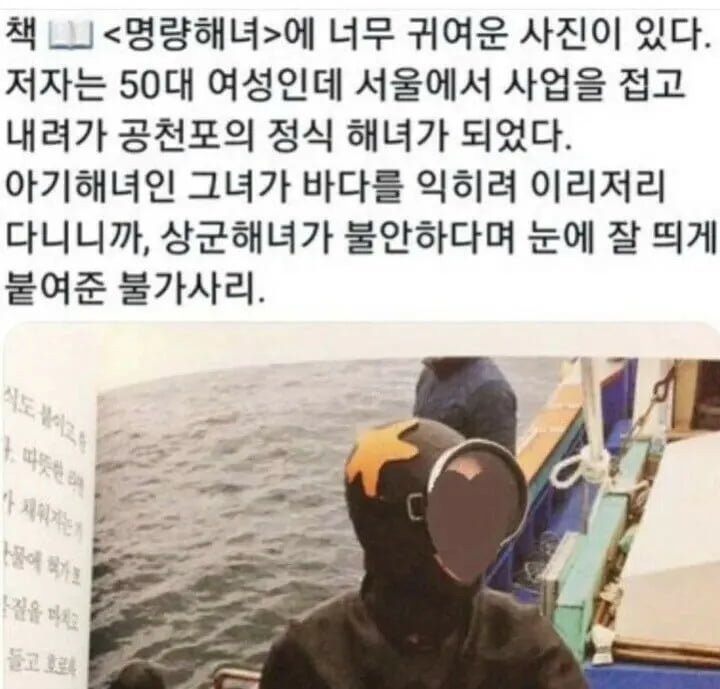 노란색은 초보자 딱지