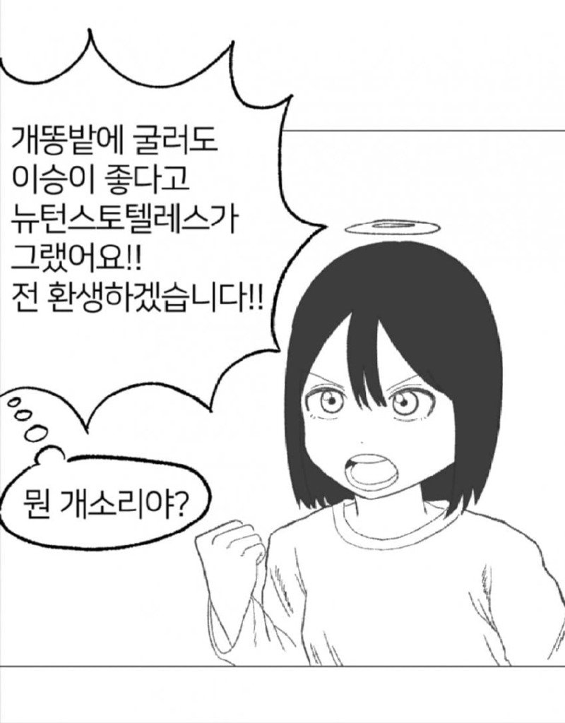 여고생이 랜덤 환생하는 만화