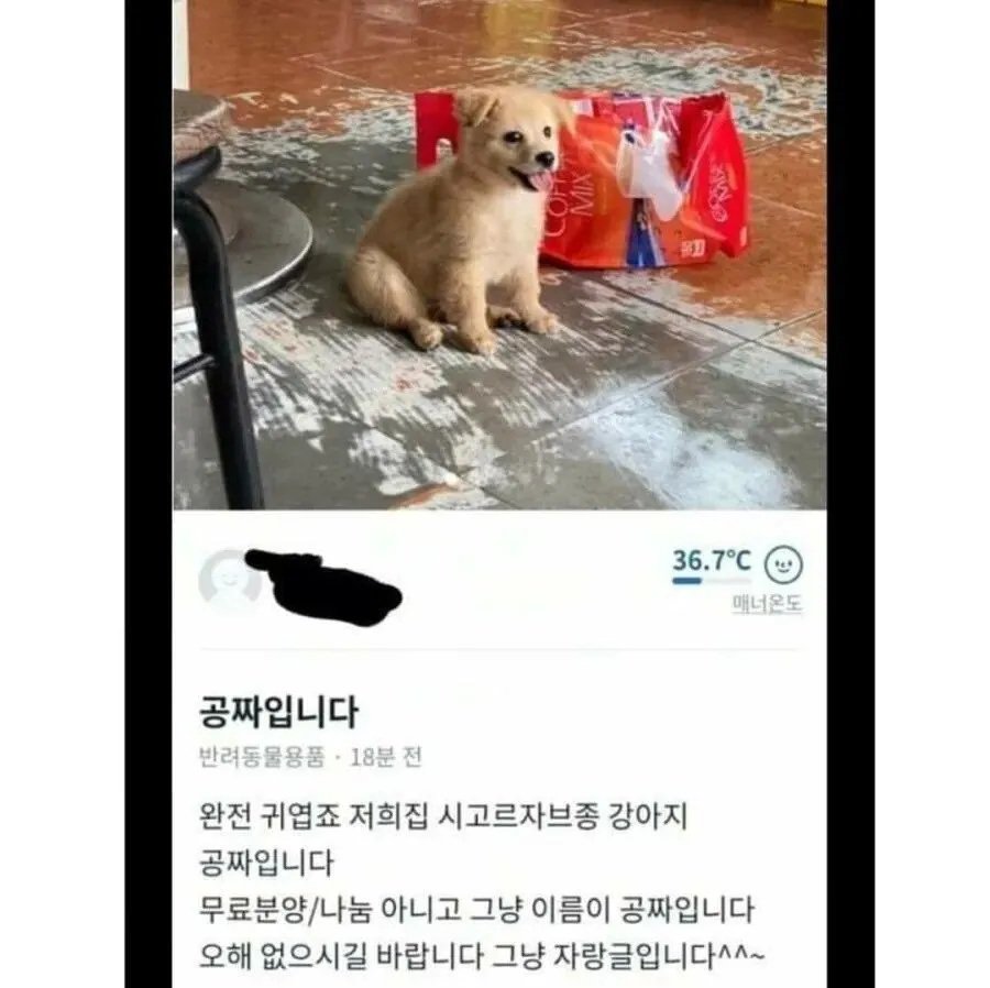 당근마켓 공짜입니다