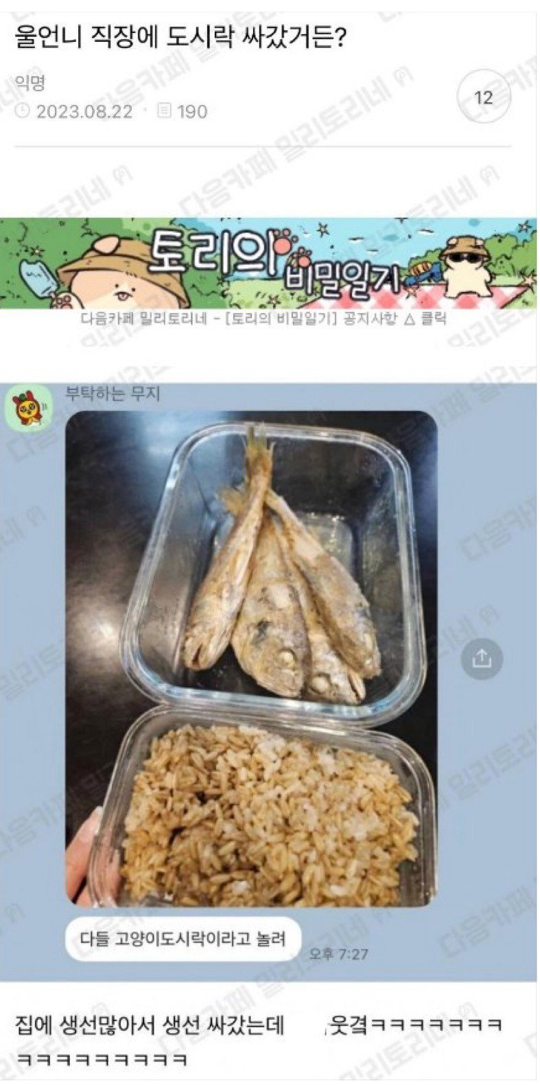 회사에 도시락 싸갔는 데 사람들이 놀려