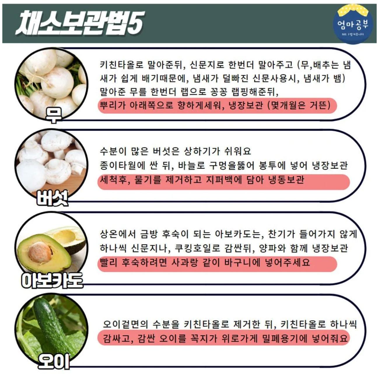 금방 상하는 채소 20종 보관법