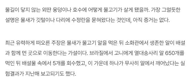 청둥오리가 잉어를 세계에 퍼뜨린다