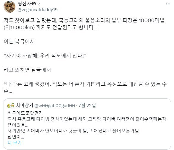 인간과 다른 고래의 거리감각