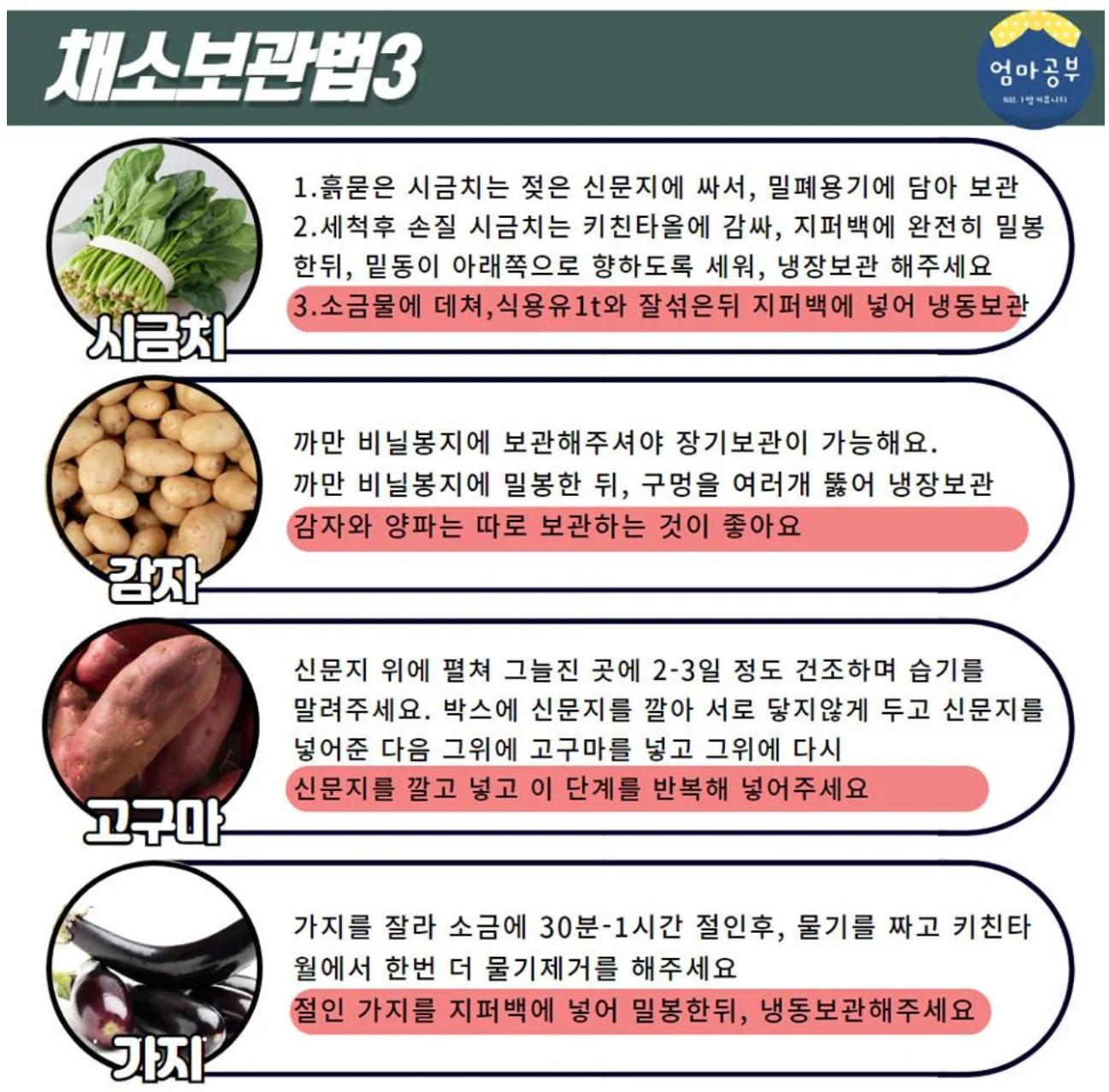 금방 상하는 채소 20종 보관법