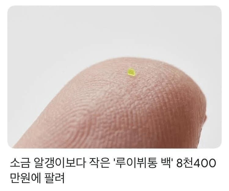 8천만원이 넘는 가방