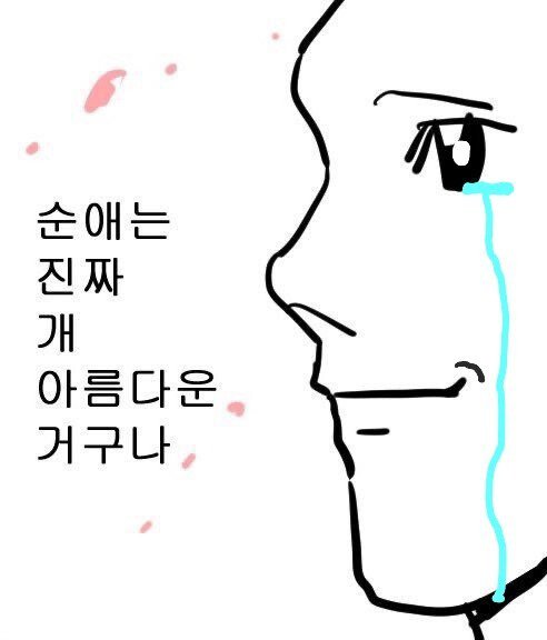 어느 한일 커플의 우여곡절 많았던 결혼과정