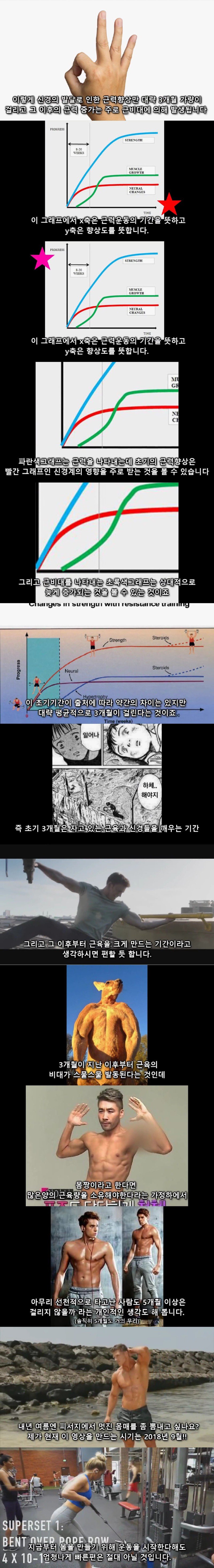 운동 3개월만에 몸짱이 될 수 없는 이유.jpg