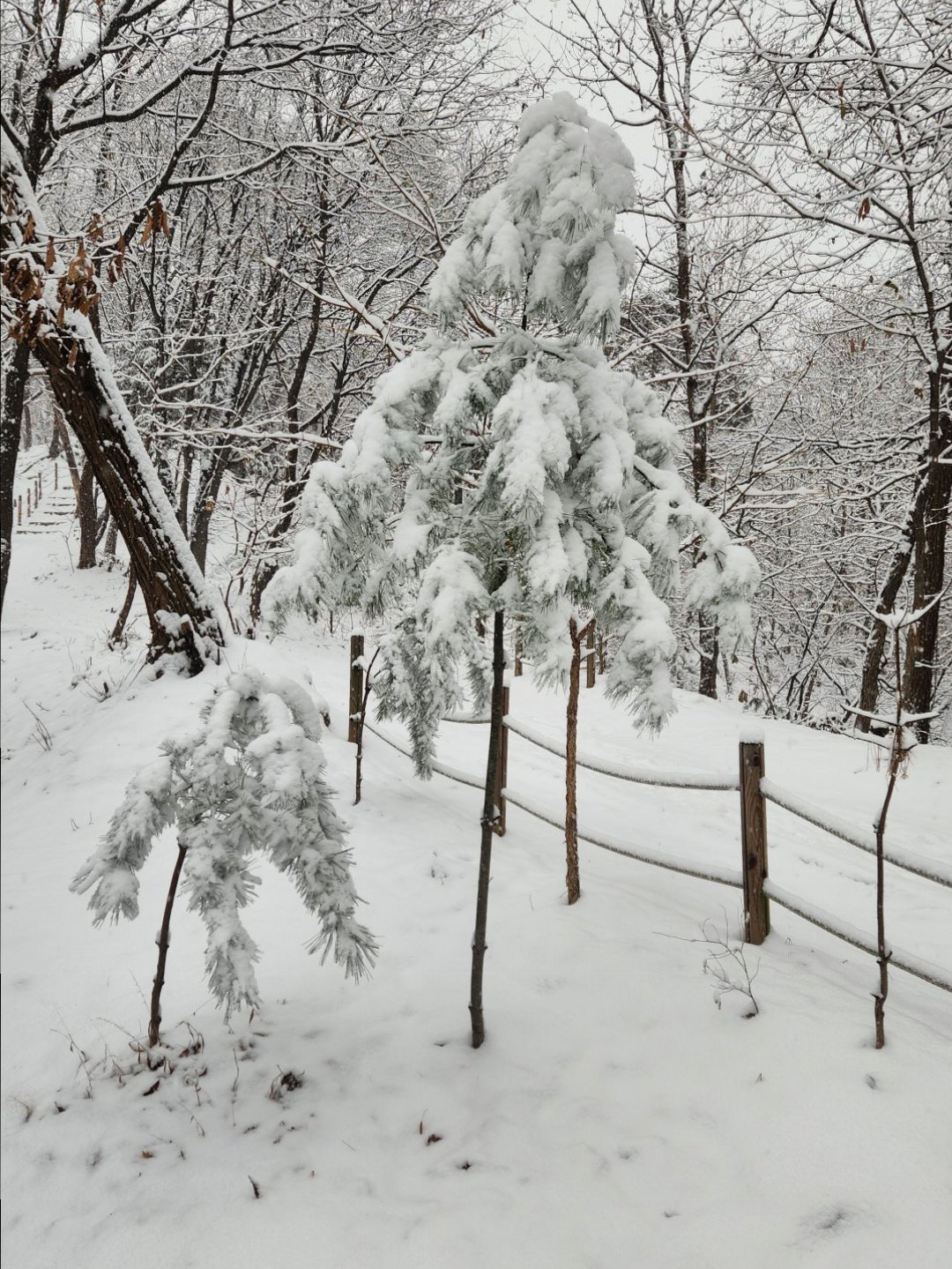 덥네요 지난겨울 사진보고 가세요 