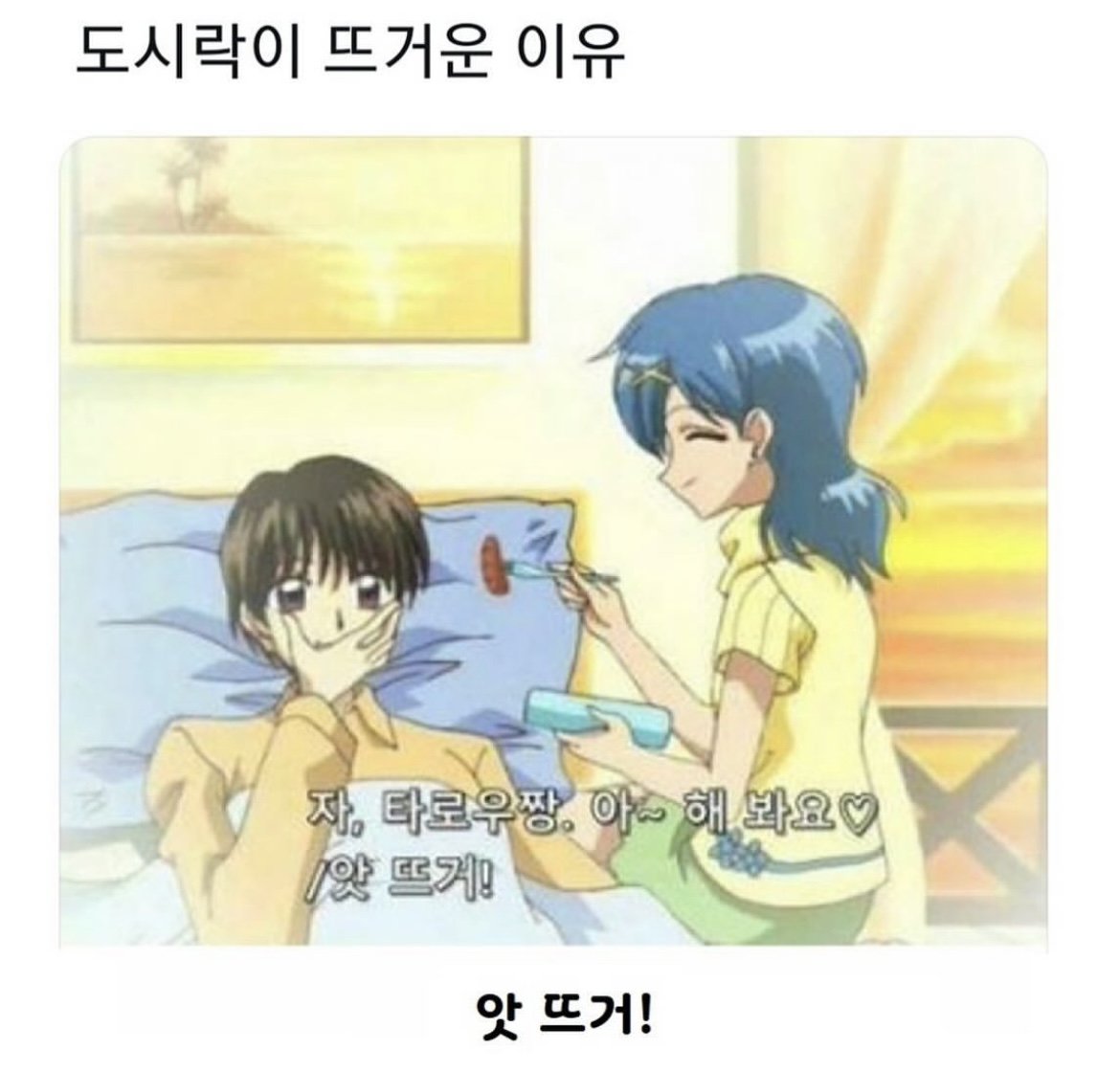 도시락이 뜨거운 이유 