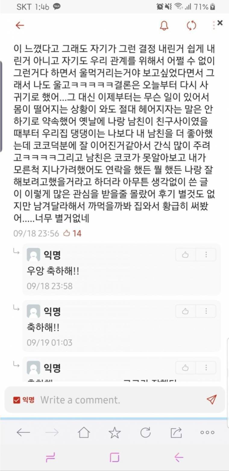 강아지 산책시키다 당혹스러움