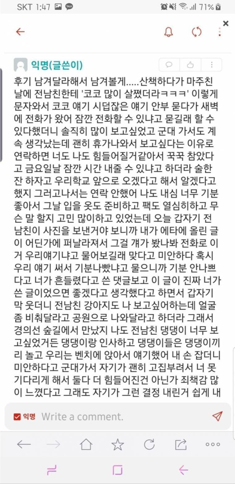 강아지 산책시키다 당혹스러움