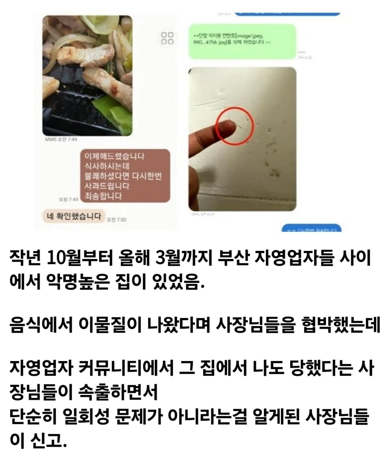 부산을 공포에 떨게 했던 바퀴벌레 한쌍