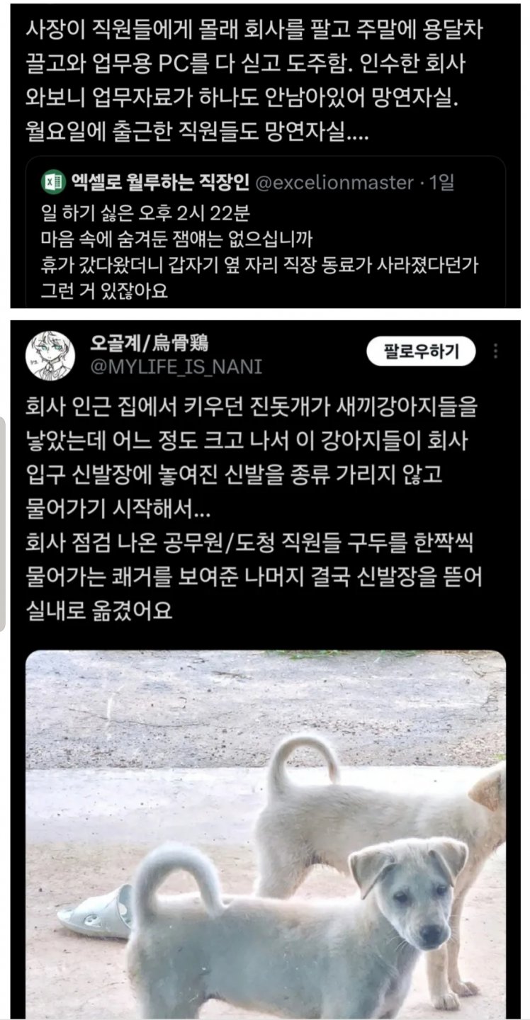 회사에서 재미있는 이야기들 있으면 좀 해주세요