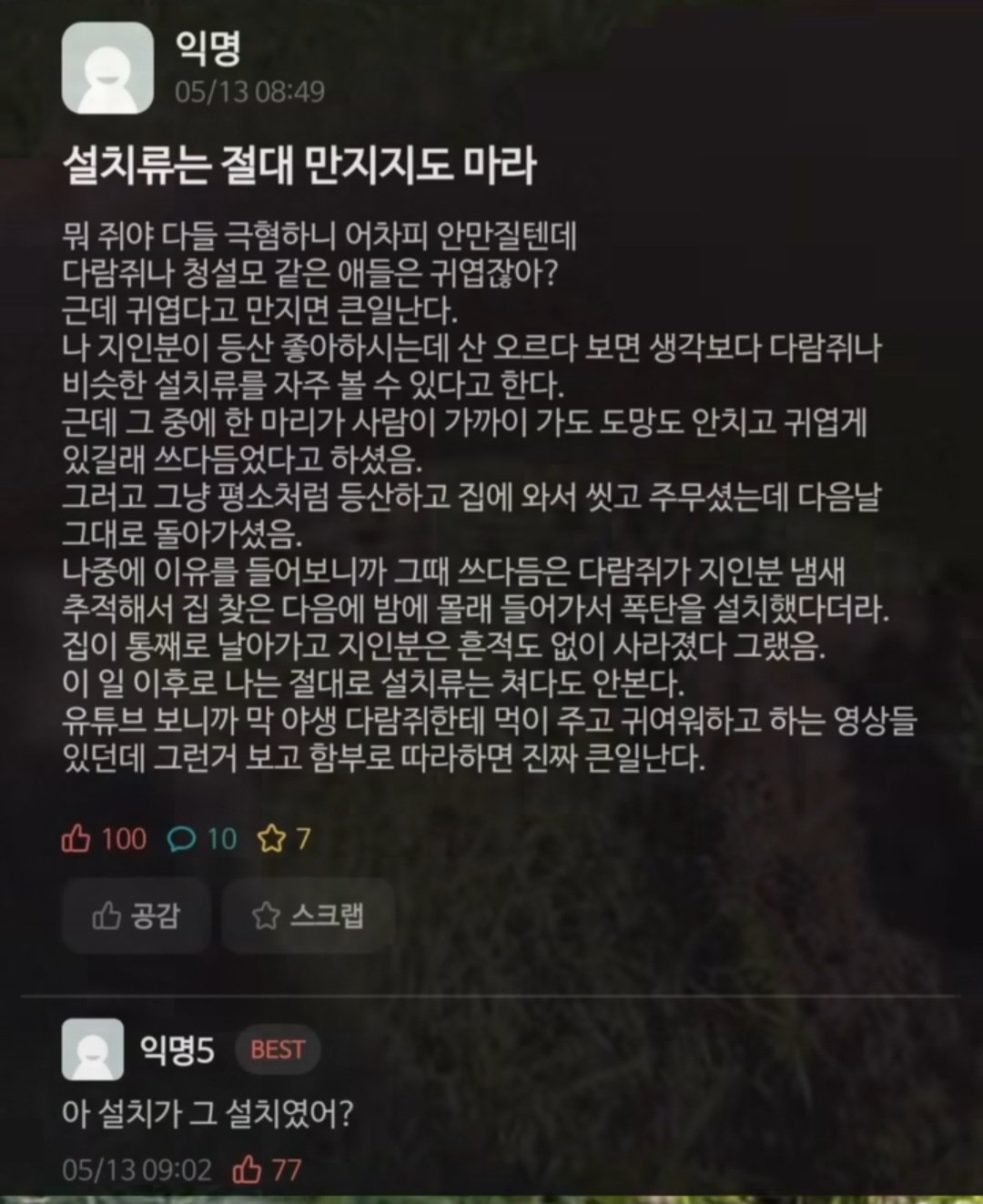 설치류 절대 만지지 말라고 경고하는 익명글